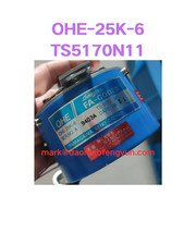 TS5170N11 Module, PLC, LCD, Board, Controller